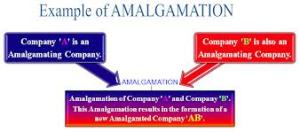amalgamation