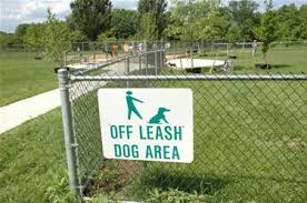 offleash